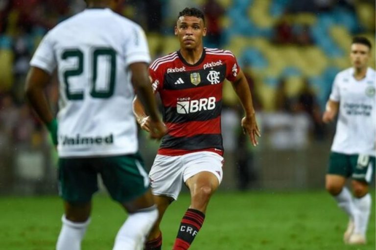 Goiás x Flamengo - Foto Reprodução do Twitter