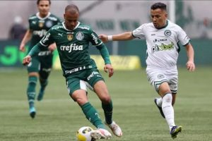 Palmeiras x Goiás - Foto Reprodução do Twitter