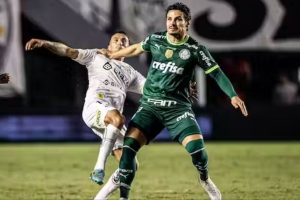 Palmeiras x Santos - Foto Reprodução do Twitter